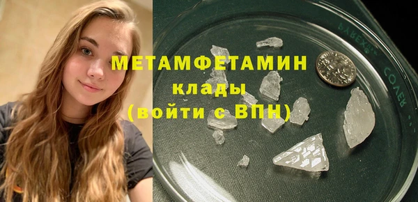 индика Инта