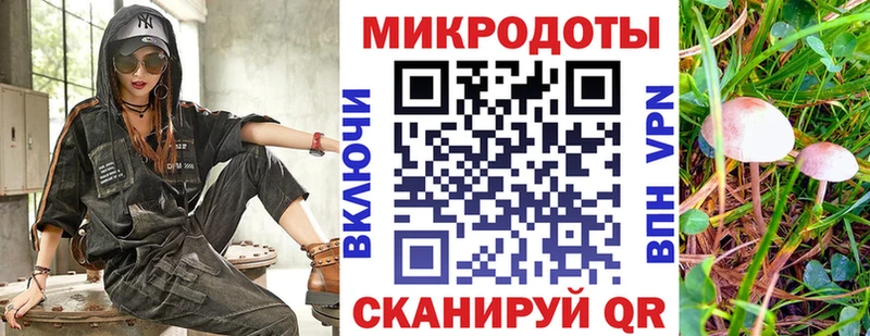 KRAKEN ССЫЛКА Сегежа Псилоцибиновые грибы мицелий