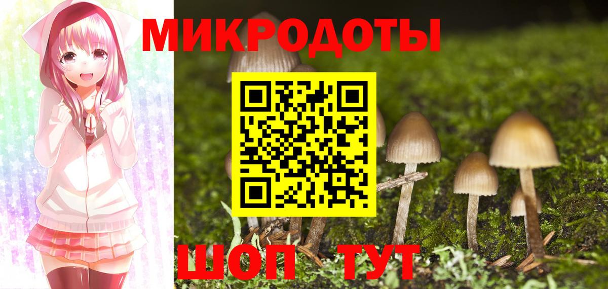 Галлюциногенные грибы Cubensis Сегежа